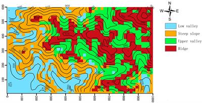 Topography and life stage regulate species aboveground biomass distribution in combination in a tropical montane rainforest